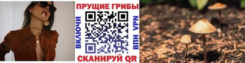 Галлюциногенные грибы Psilocybe  где найти наркотики  Калтан 